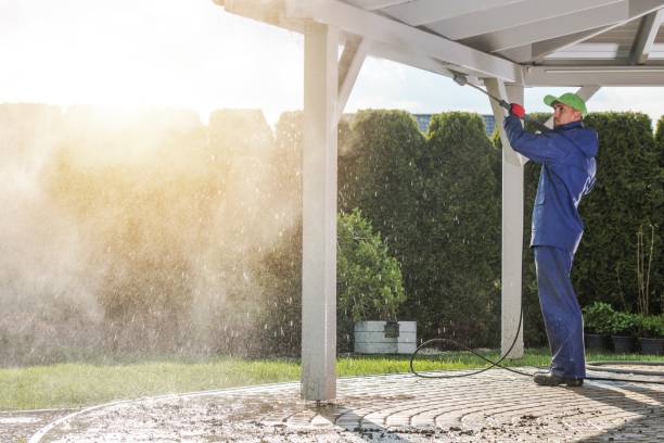 Best Roof Washing  in Woodville, TX